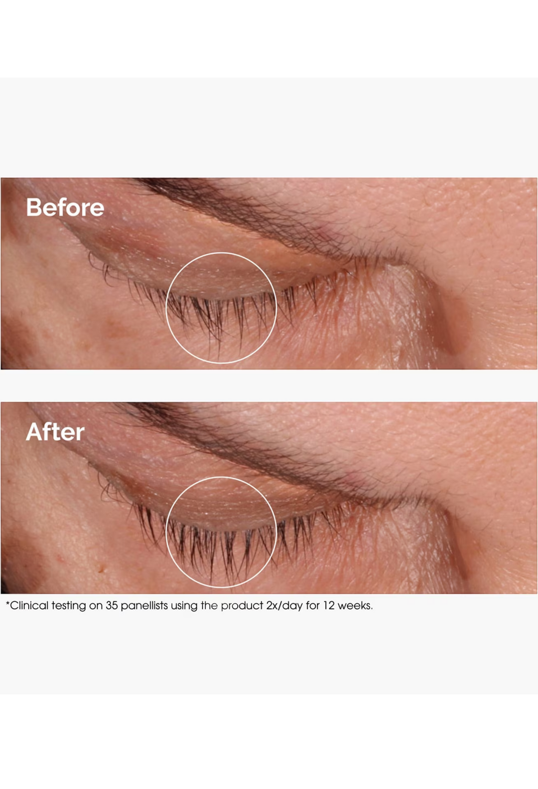 Multi-Peptide Lash and Brow Serum - GLAM MODA