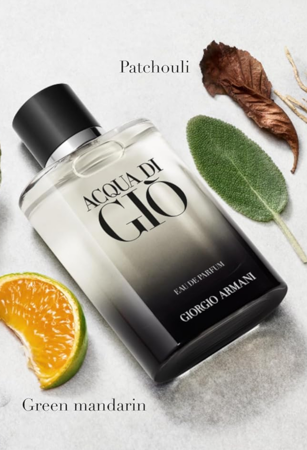 Acqua di Giò Eau de parfum - GLAM MODA