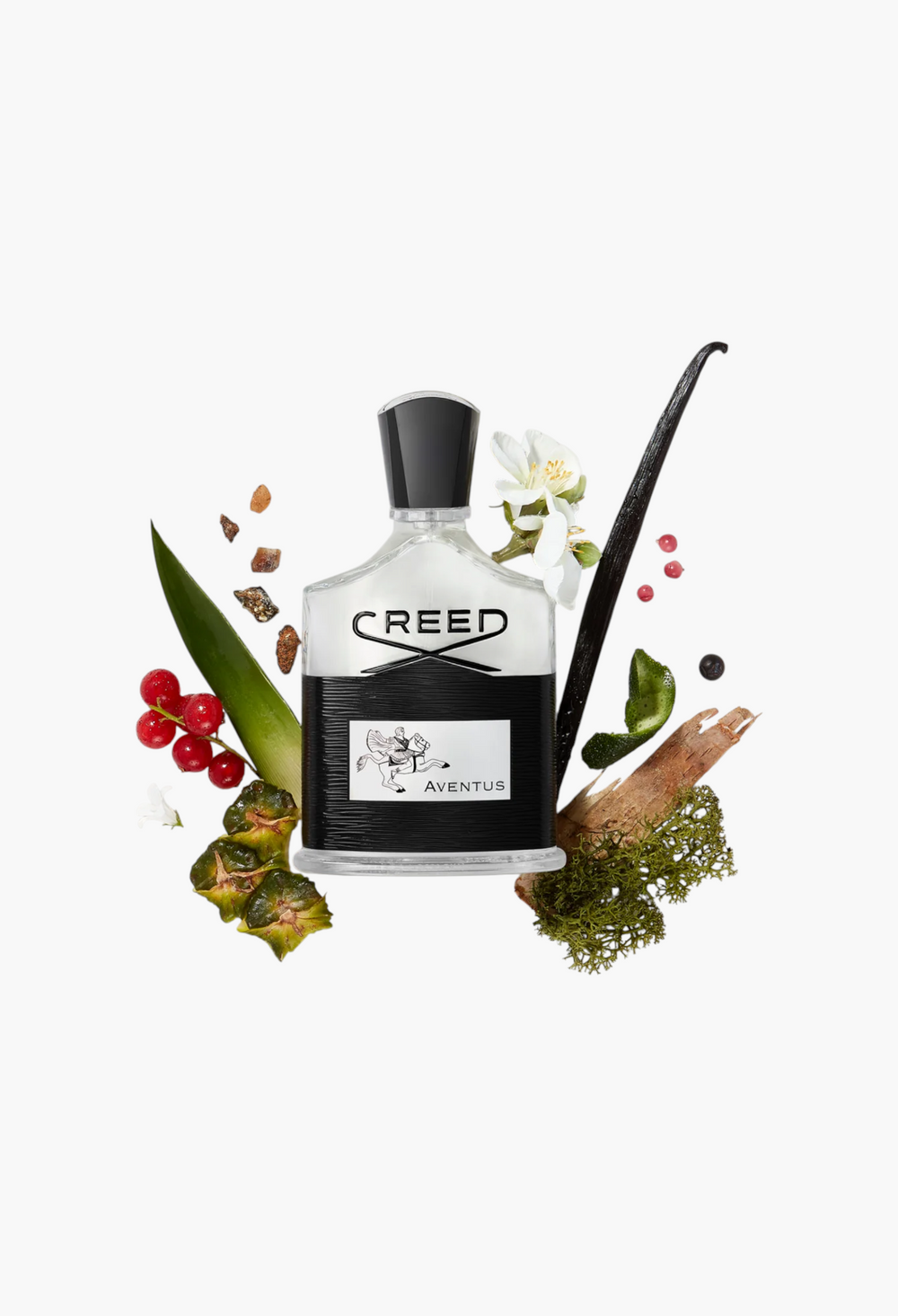 Aventus Cologne Cologne - GLAM MODA