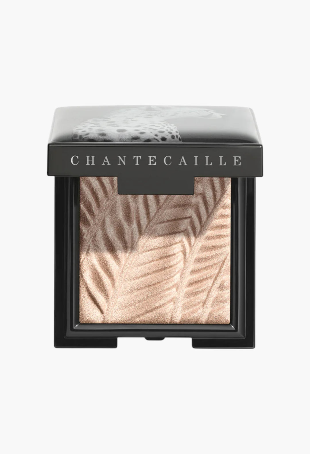 Luminescent Eye Shades - GLAM MODA