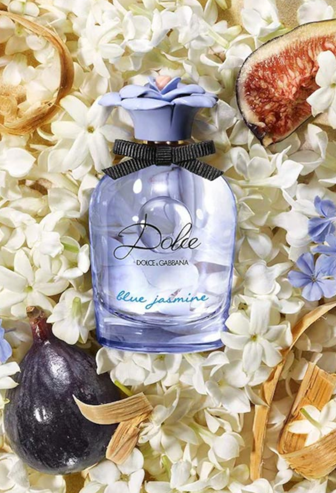 Dolce Blue Jasmine Eau de Parfum with Fig & Cedarwood - GLAM MODA