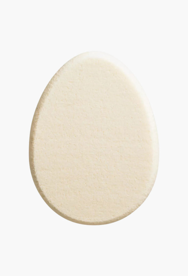 Foundation Sponge