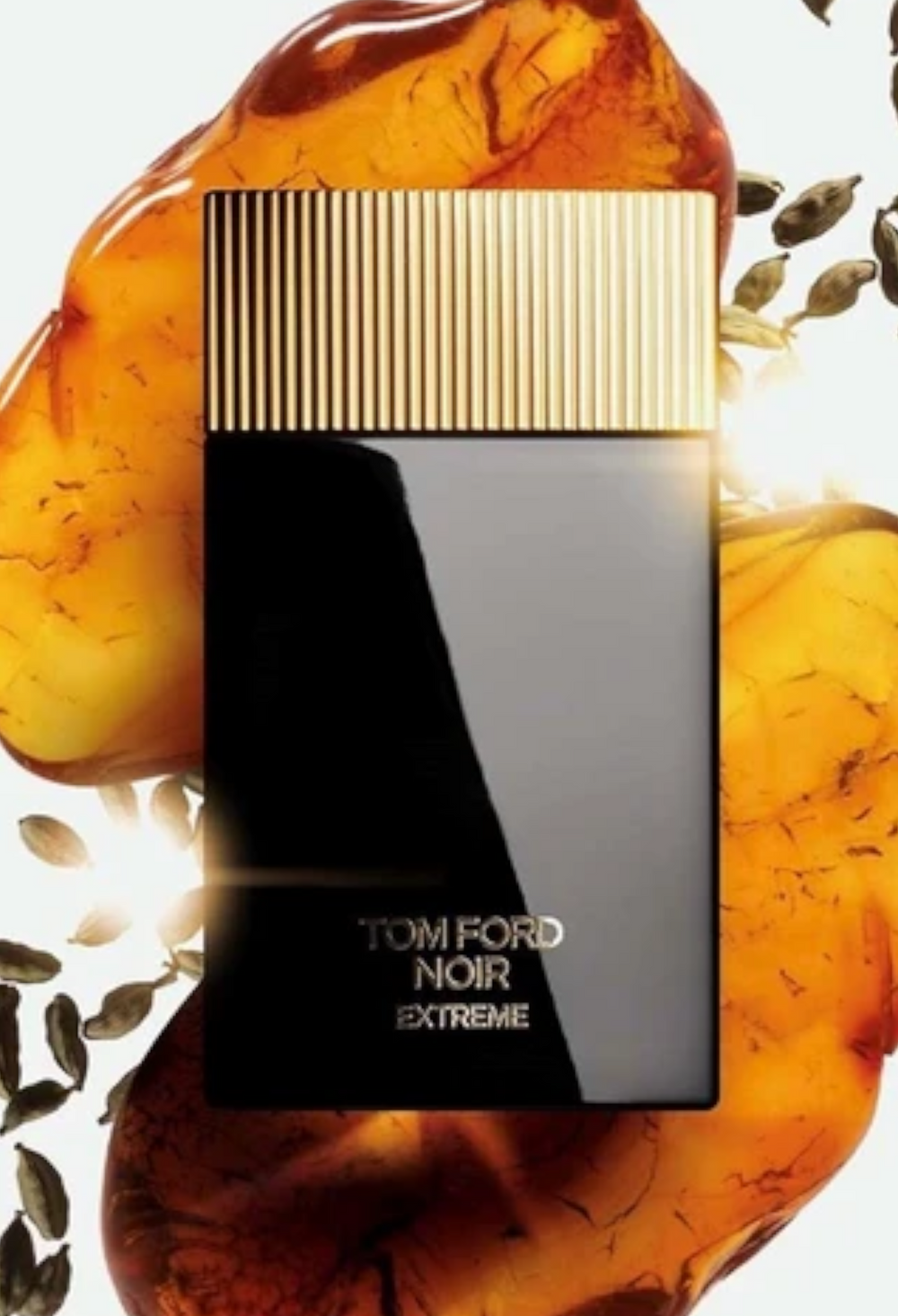 Noir Extreme Cologne - GLAM MODA