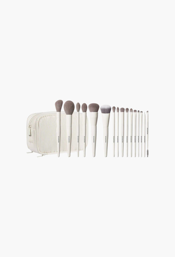 Ready Set Pro 16-Piece Face & Eye Brush Set