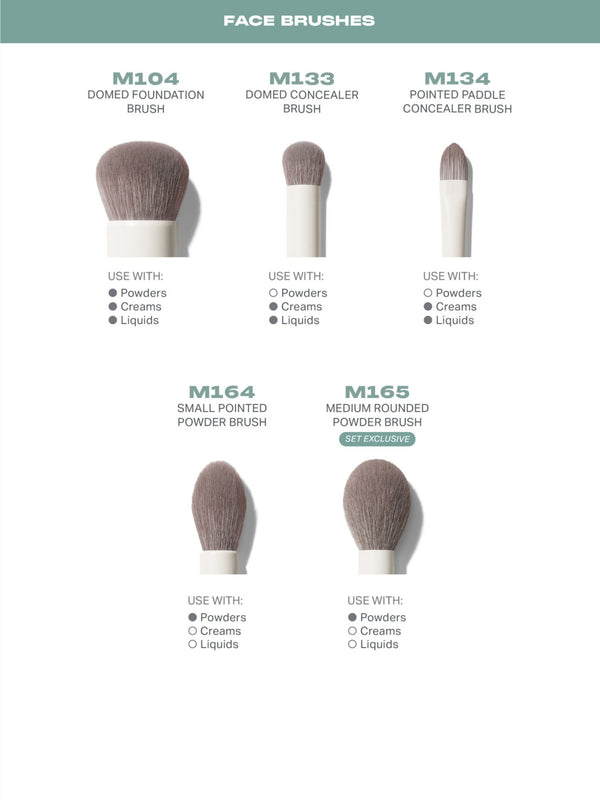 Ready Set Pro 16-Piece Face & Eye Brush Set
