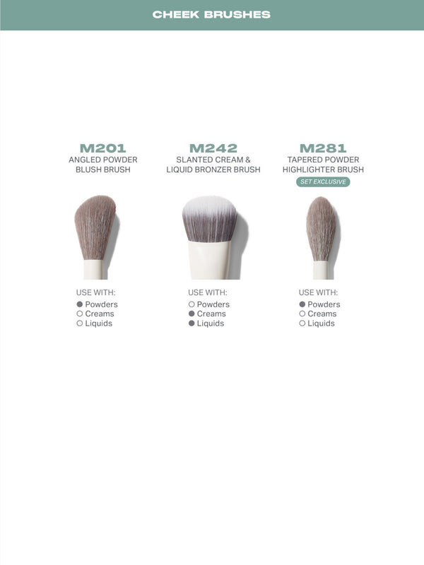 Ready Set Pro 16-Piece Face & Eye Brush Set