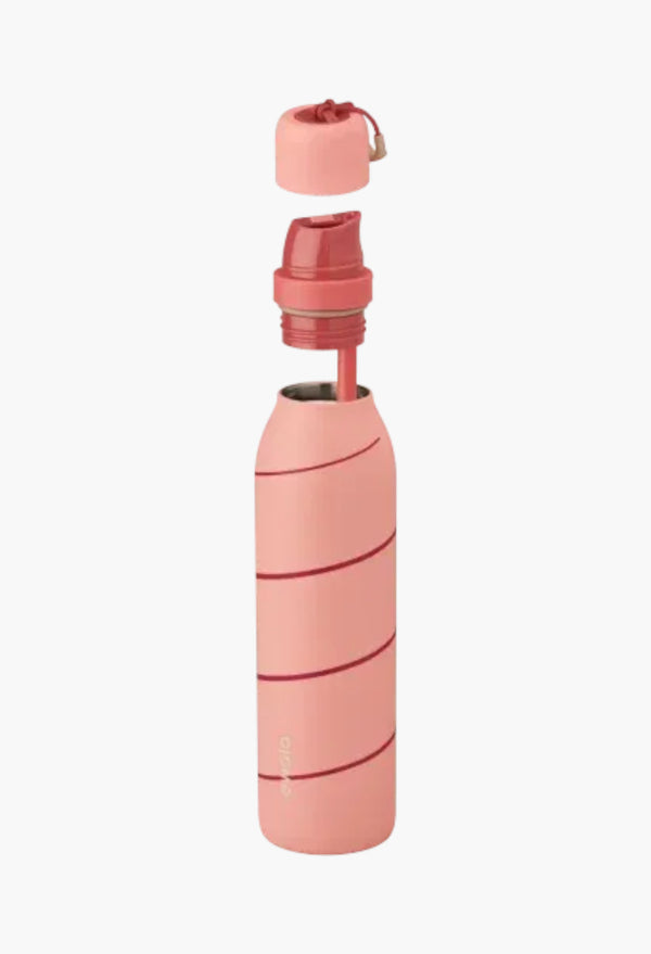 Candy Cane Lane - FreeSip® Twist