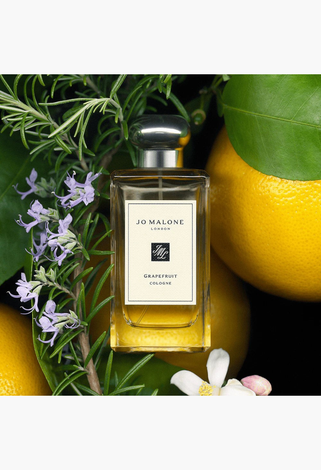 GLAM MODA Grapefruit Cologne in a clear glass bottle with a silver cap, featuring notes of grapefruit and rosemary.