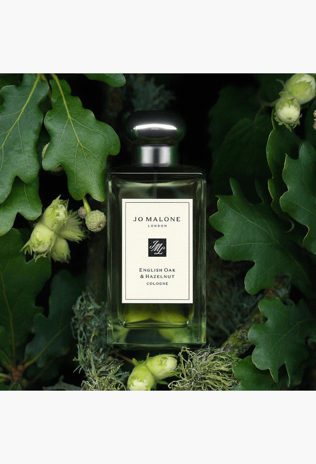 GLAM MODA Jo Malone London English Oak & Hazelnut cologne bottle nestled among fresh green oak leaves and hazelnuts.