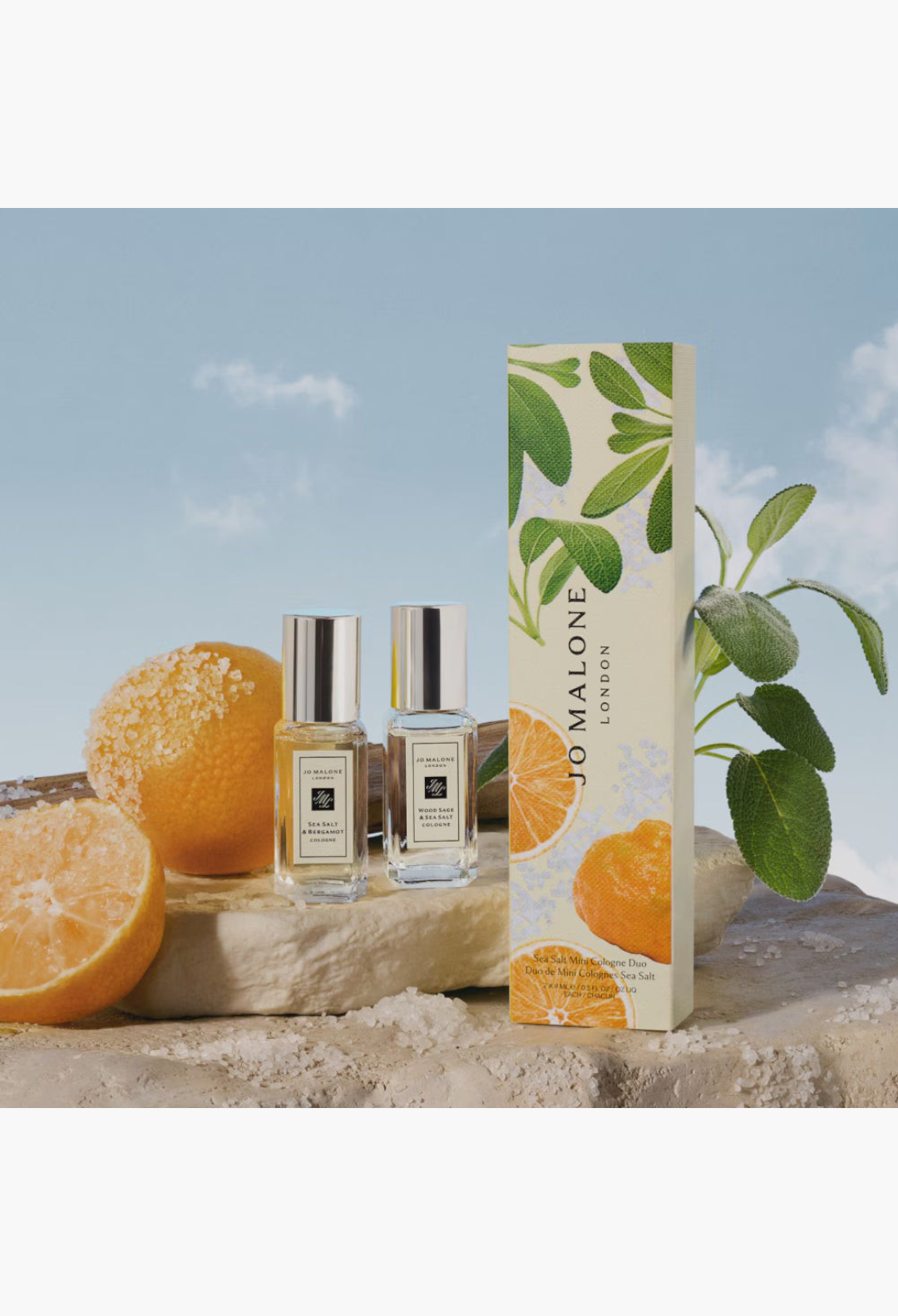 GLAM MODA Jo Malone Sea Salt & Bergamot and Wood Sage & Sea Salt cologne duo set with citrus and sage on stone