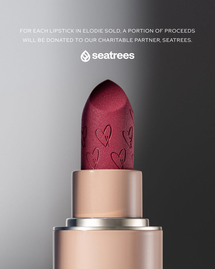 Elodie - Lip Suede Matte Lipstick - GLAM MODA