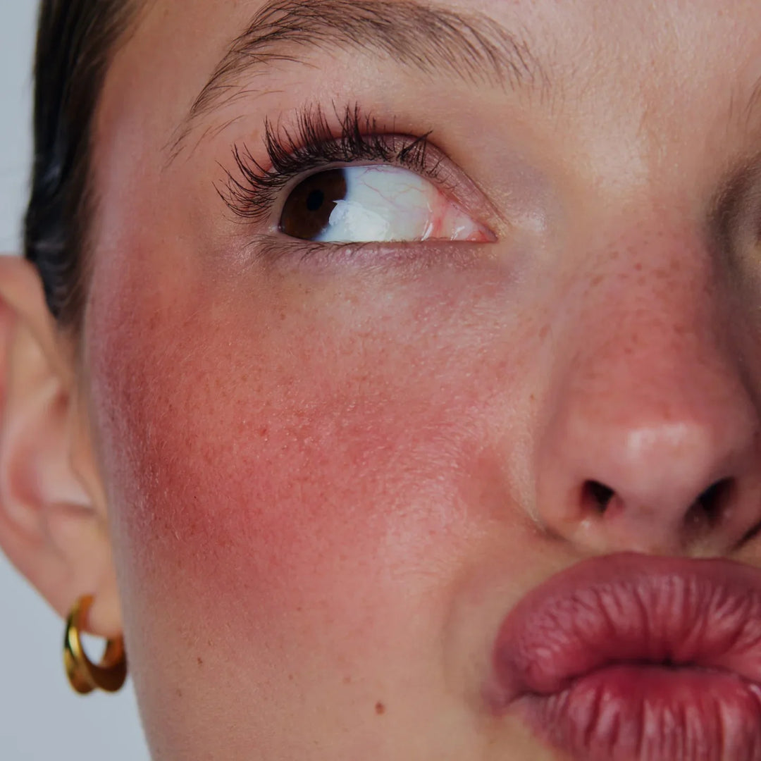 Toasted Teddy - Bronze Terracotta Pocket Blush - GLAM MODA64