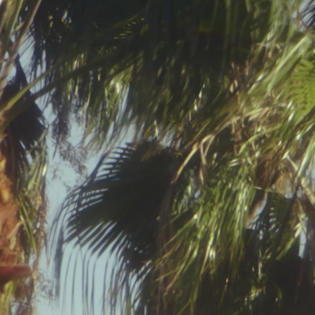 All Nighter Long-Lasting Makeup Setting Spray - 118ml