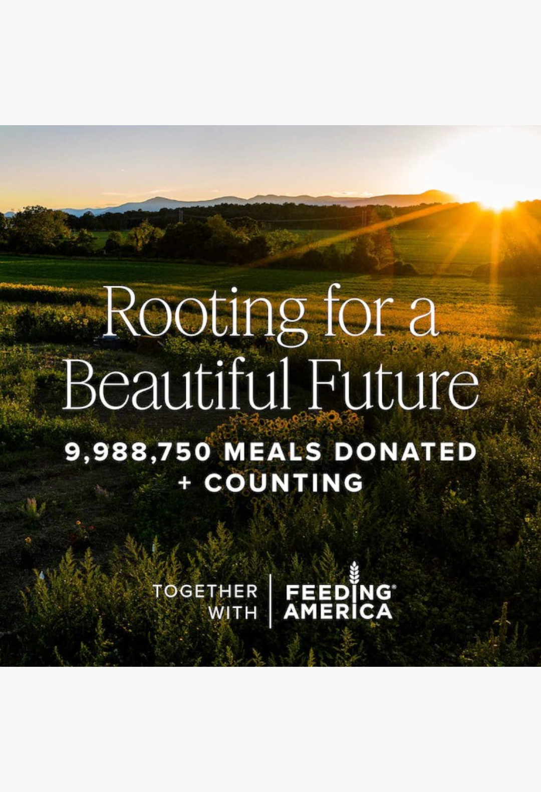 GLAM MODA graphic featuring a golden field landscape with text about donating meals to support a beautiful future.