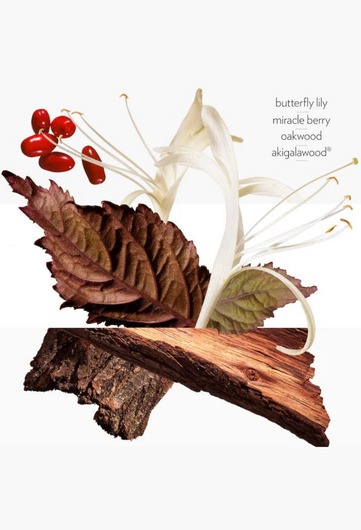 GLAM MODA fragrance discovery set ingredients featuring white honeysuckle flowers, red berries, and textured wood bark
