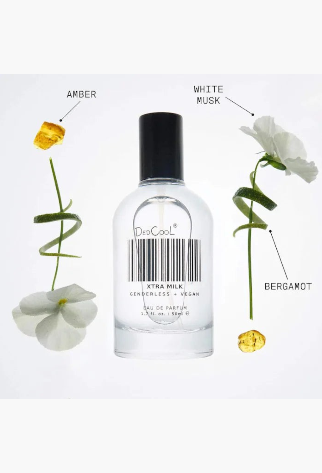 GLAM MODA DedCool Xtra Milk Eau de Parfum bottle surrounded by bergamot and floral elements on a white background.