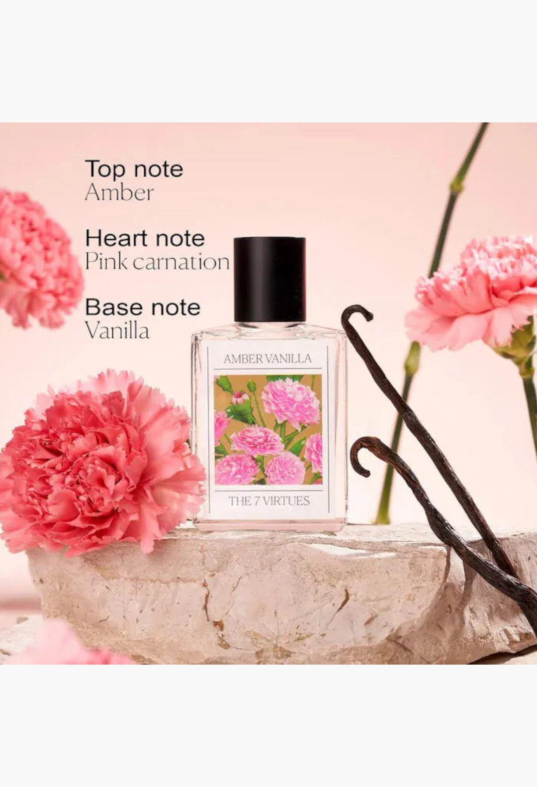 GLAM MODA The 7 Virtues Amber Vanilla perfume bottle with a pink carnation and vanilla beans on a stone pedestal.