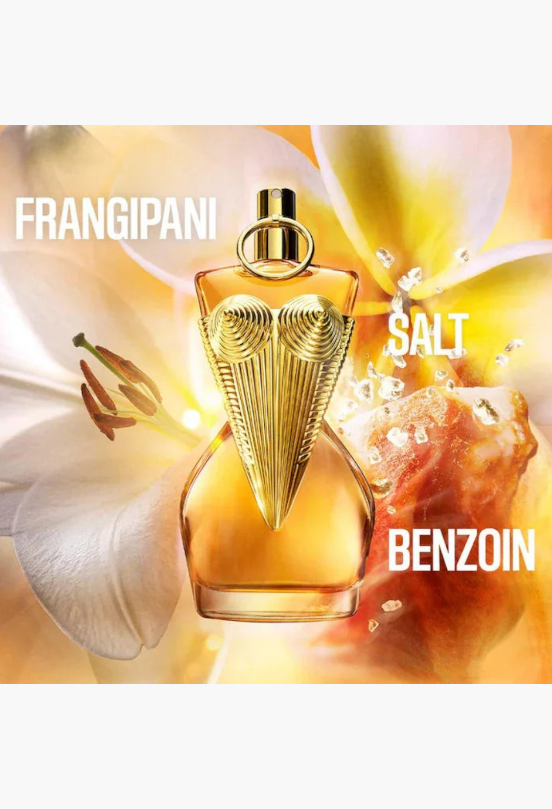 GLAM MODA Jean Paul Gaultier Gaultier Divine perfume bottle with gold corset design against a floral background