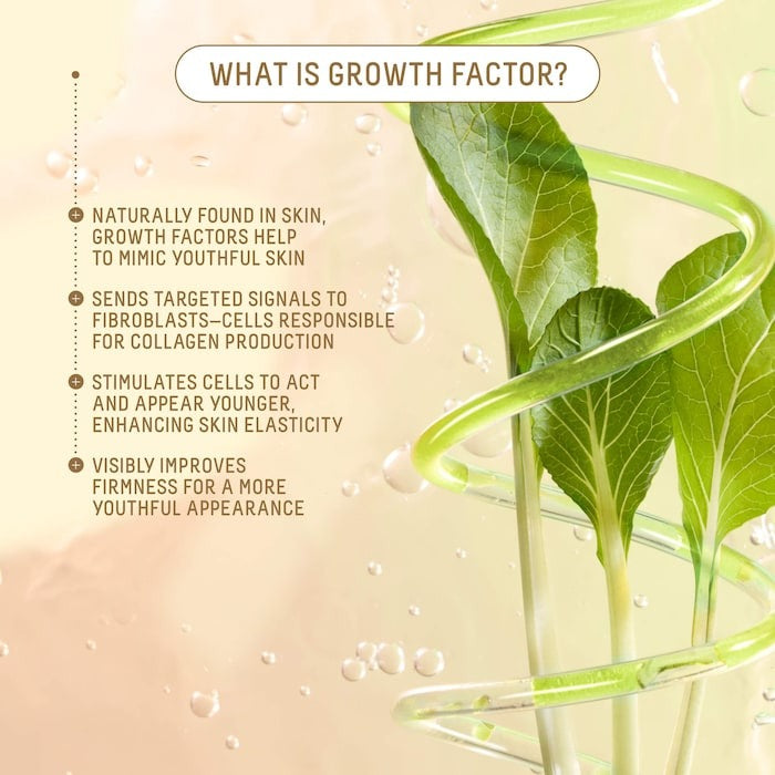 Growth Factor Firming Anti-Aging Moisturizer with Peptides, Collagen + Squalane - GLAM MODA
