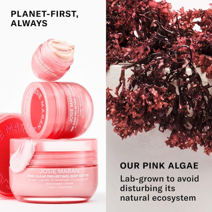 Pink Algae Pro-Retinol Body Butter for Anti-Aging and KP - GLAM MODA