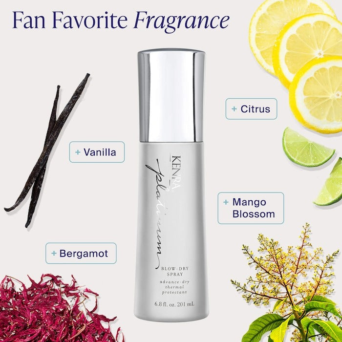 Blow-Dry Spray Frizz Control Heat Protectant - GLAM MODA