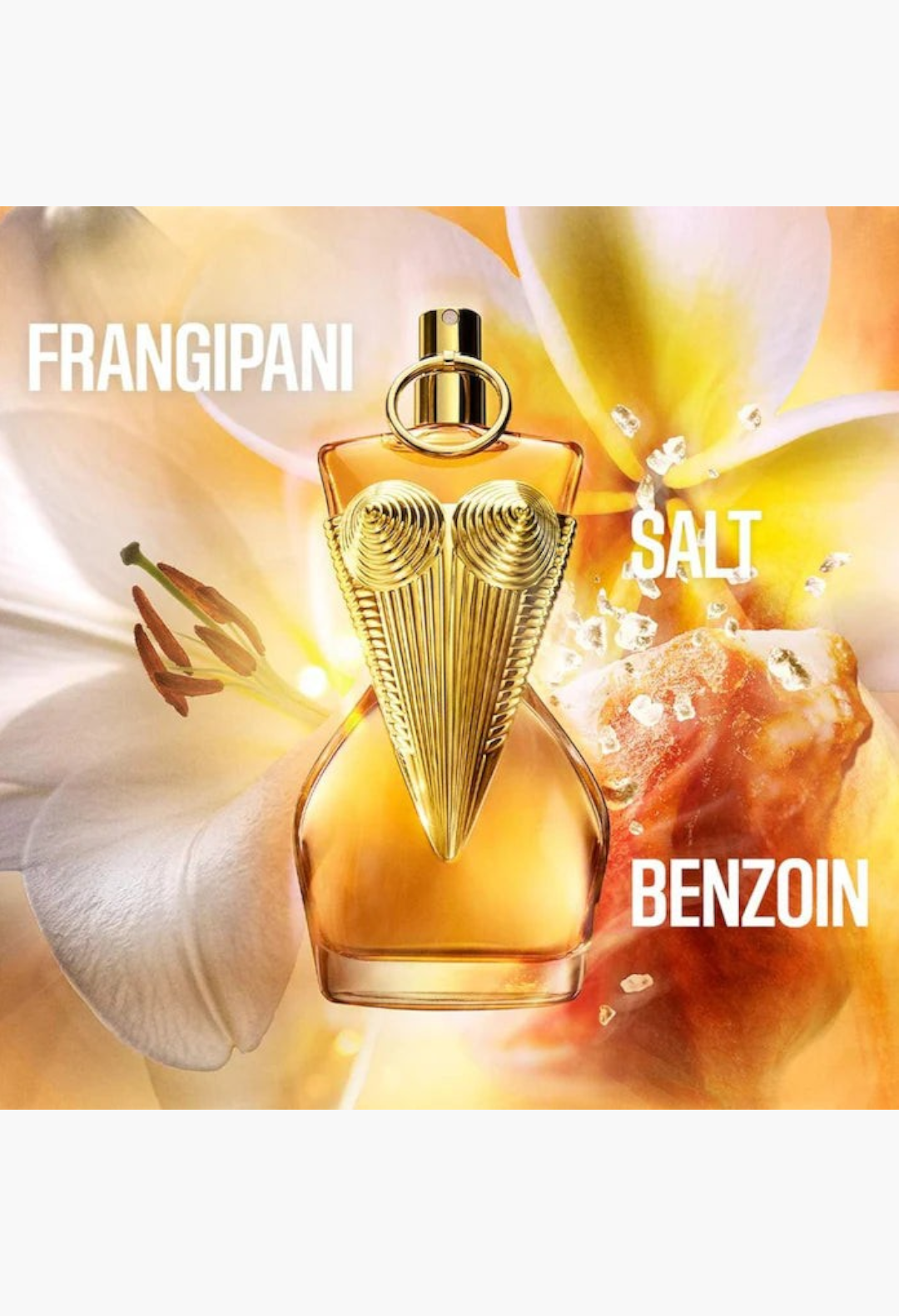 GLAM MODA Jean Paul Gaultier Gaultier Divine perfume bottle with a gold corset design and amber glass.