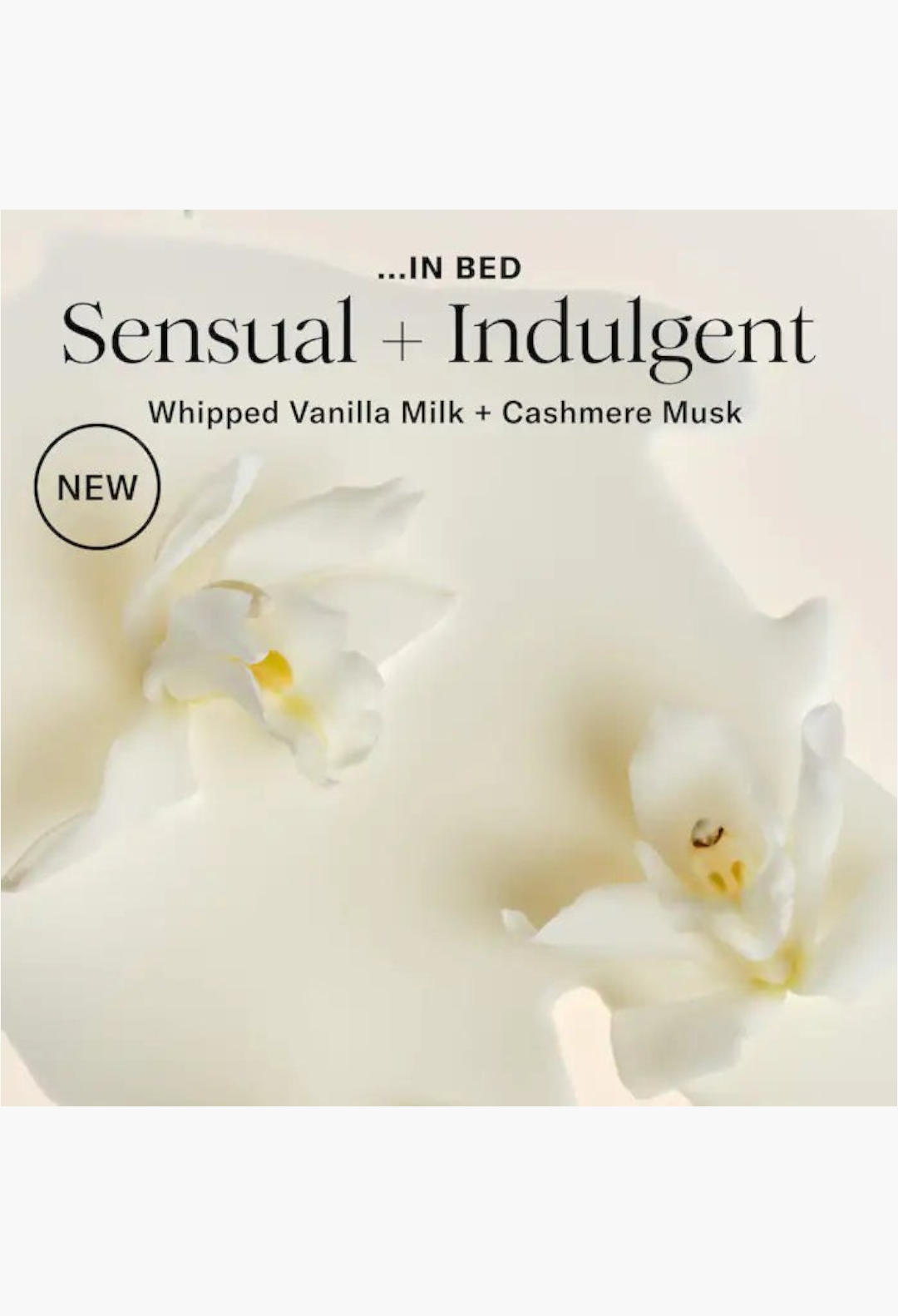 GLAM MODA In Bed whipped body butter featuring vanilla milk and cashmere musk with white orchid floral accents