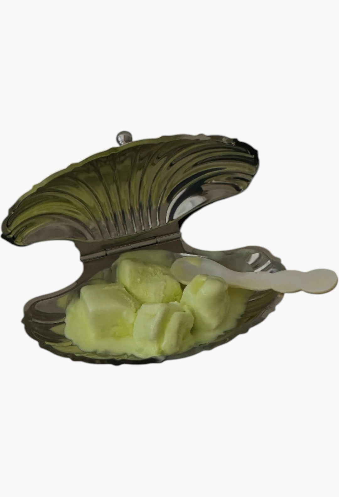 Vintage Seashell Dish 01 - GLAM MODA
