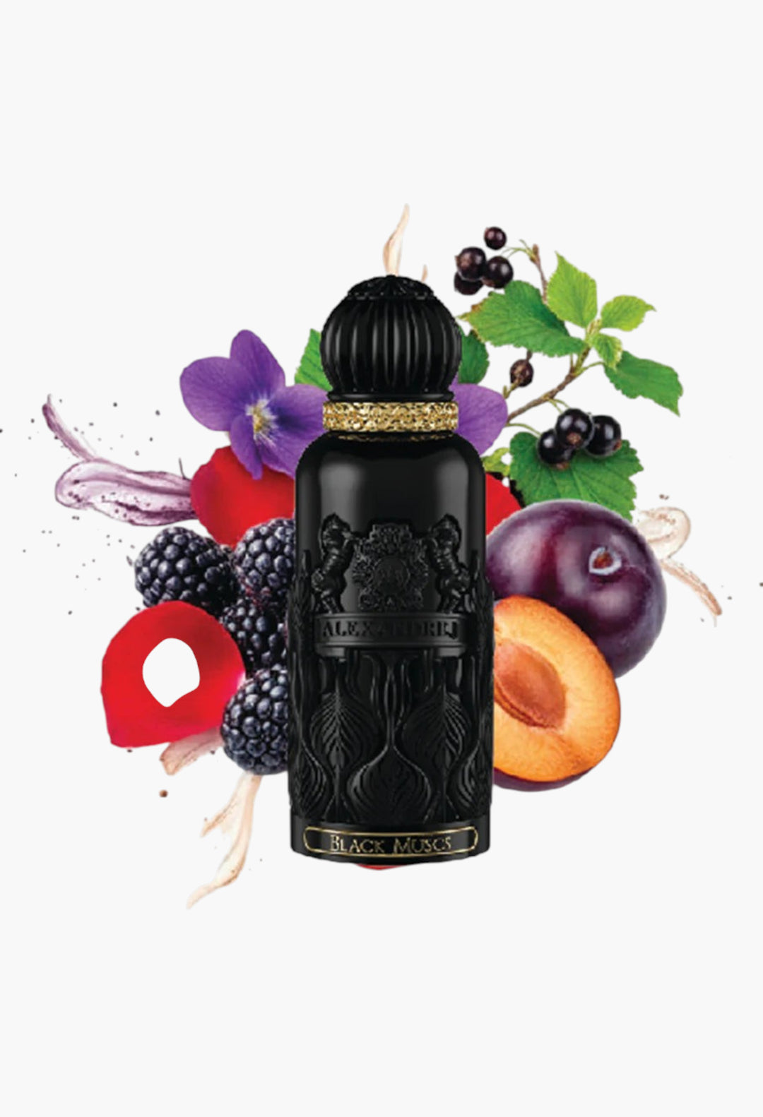 Elixir Black Musc-Signature 100ml Edp - GLAM MODA