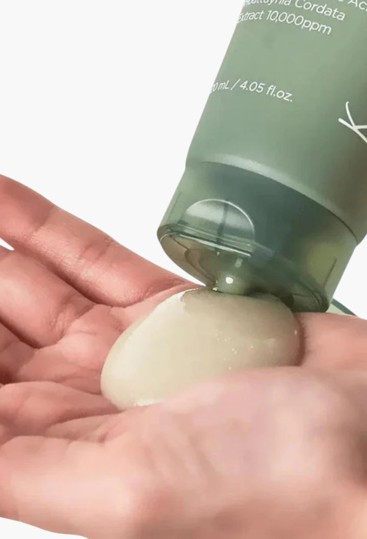 Heartleaf Quercetinol Pore Deep Cleansing Foam - GLAM MODA