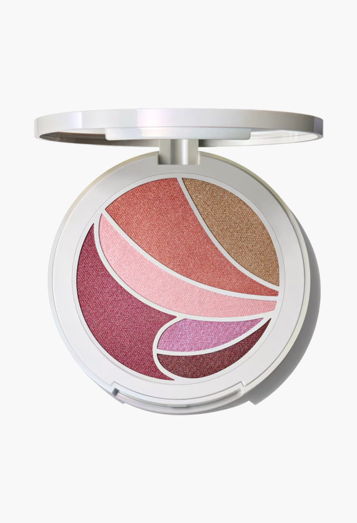 Metamorphosis Face & Eye Palette - GLAM MODA